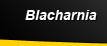Blacharnia