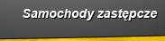 Samochody zastpcze